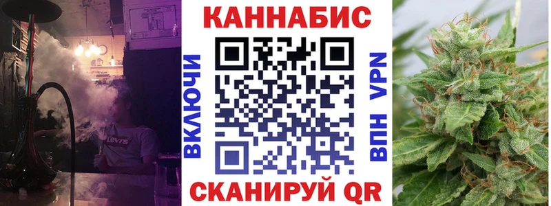 Купить где  Суджа  Бошки марихуана сатива 